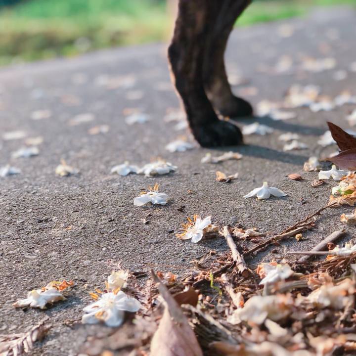 03c3fea6 ec8d 478e 8400 8efeeb644ab9 1528152345860