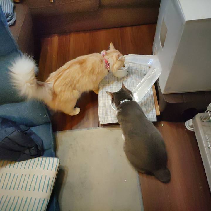 03c416e9 15df 44b9 bdfe 282a941ad40c 1666738188794