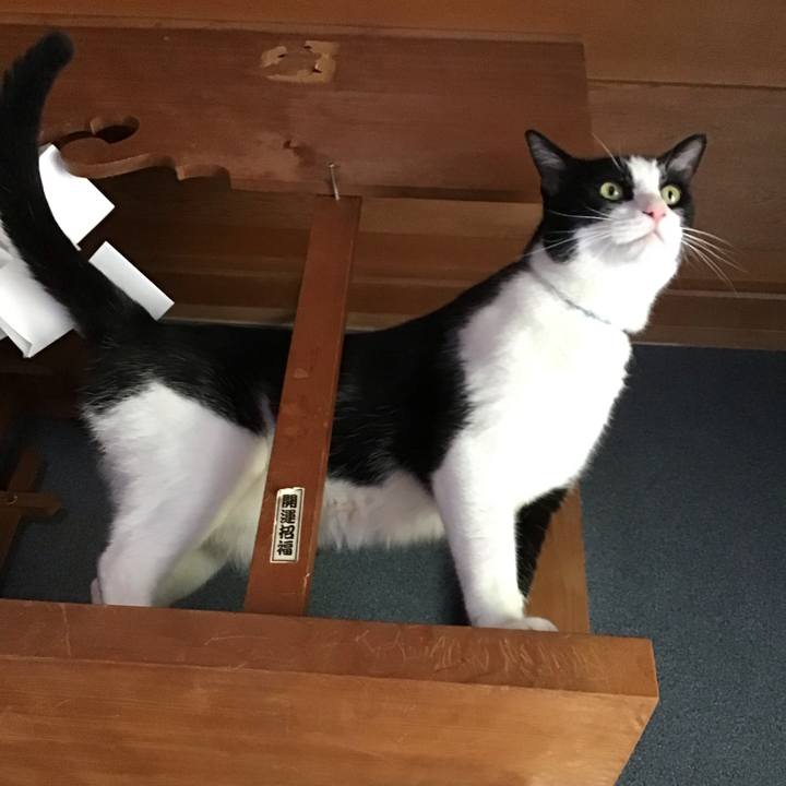 03c45902 2cee 48d7 9488 8c78cce35d68 1723361619292