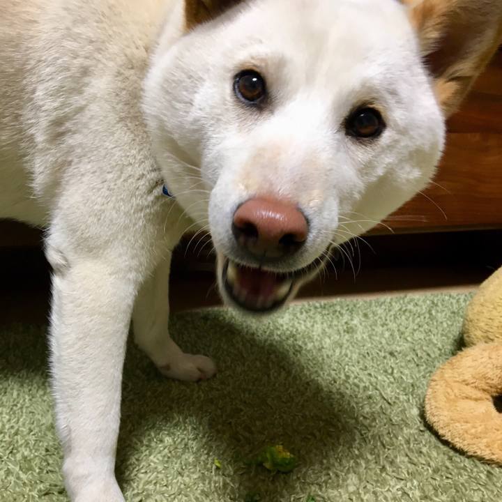 03c462af 161a 429f 9d92 7c1d1dcc2e77 1551175875189