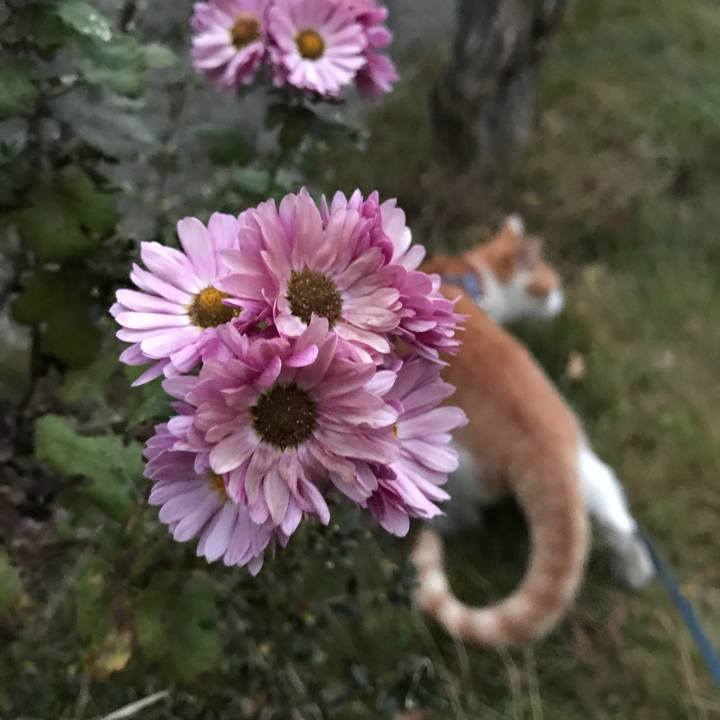 03c46408 72c1 4dd8 9612 f0162f891775 1510731847561