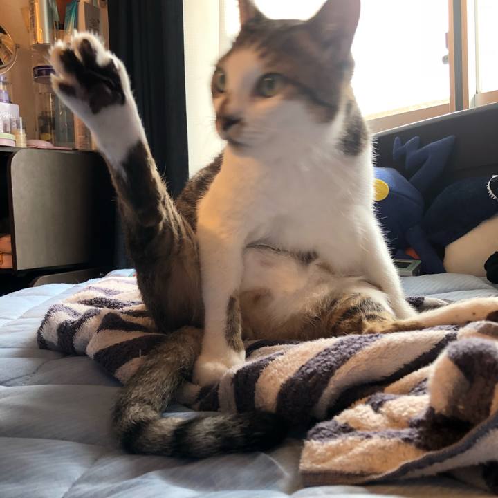 03c46b06 36dc 4da4 a66f 465064ee2706 1537024552456