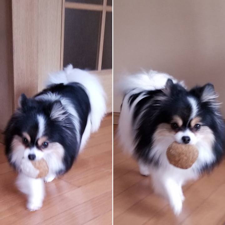 03c47cd1 ec9e 4bc9 a722 f3919ed09755 1545469682279