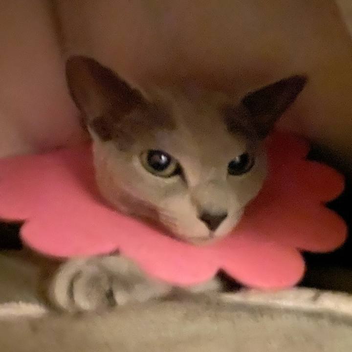 03c48777 dcca 4c7a 98d3 f7f90eb2699e 1678629752983