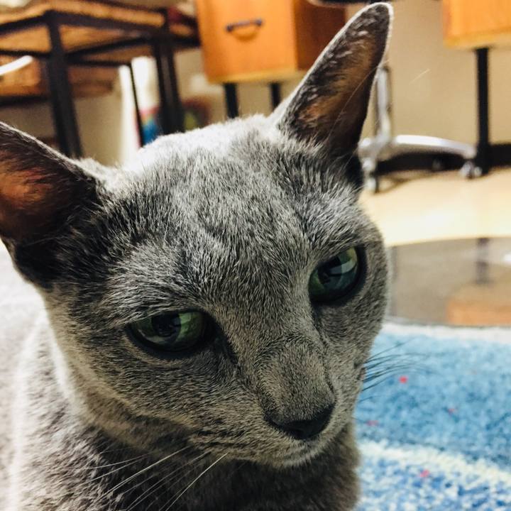 03c49d05 f703 4620 a66a 267c8d3e4326 1536190318424