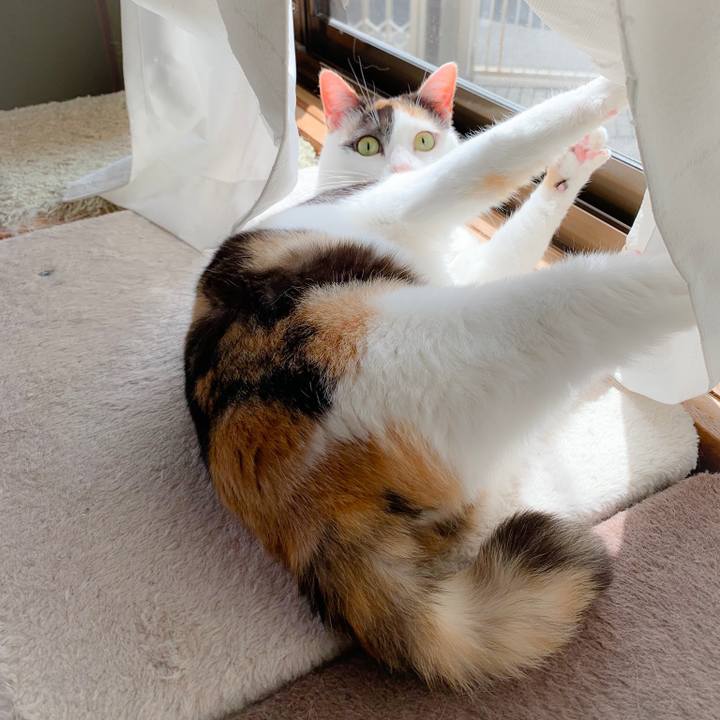 03c4b183 0f2e 4a46 98db e05bbed5804c 1558921753313