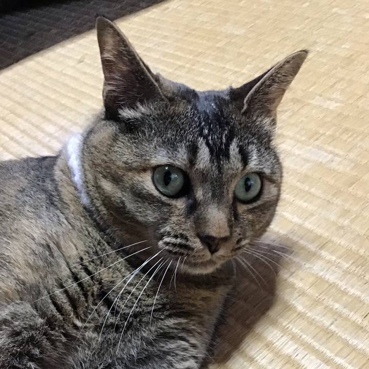 03c4f666 ba81 40f1 afab f78c69968911 1752819761131