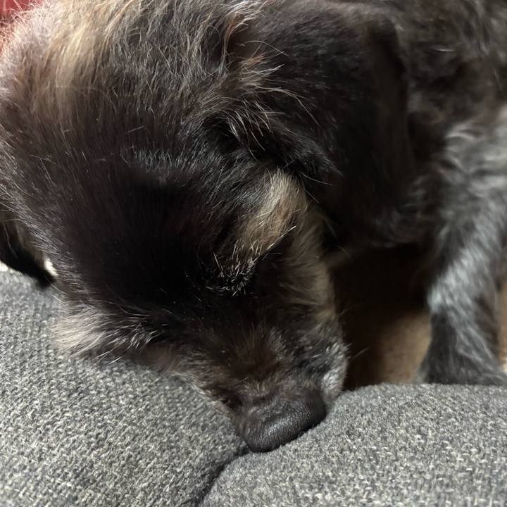 03c53cb0 f4c6 4979 b608 3e8dfbc2b6c5 1762266963538