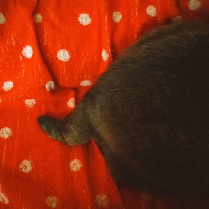 03c5bdc8 5c8a 484a aaf5 7282af9a9180 1644618618217