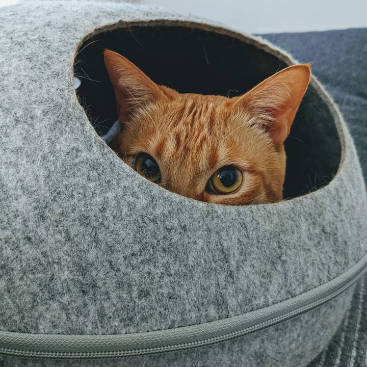 03c6718b 1f58 48c6 a147 1cad9e3df78b 1644055217761