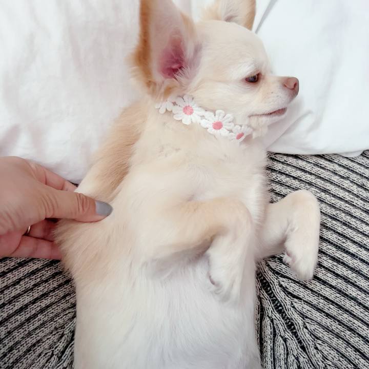 03c678cc 5e9d 4bf1 b55b 4d7118d296eb 1687349319820