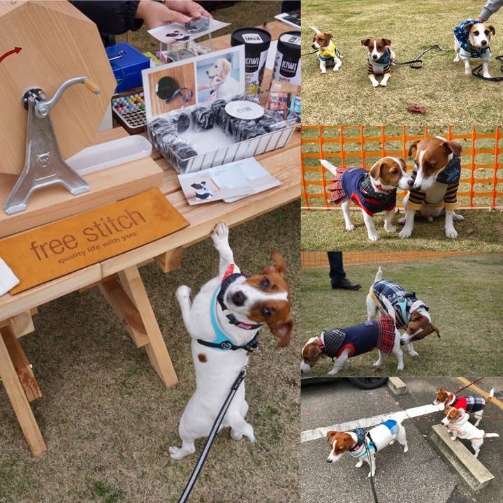 03c67e0d 1a24 4fd5 8f0f 5319e77d1d76 1543136730342