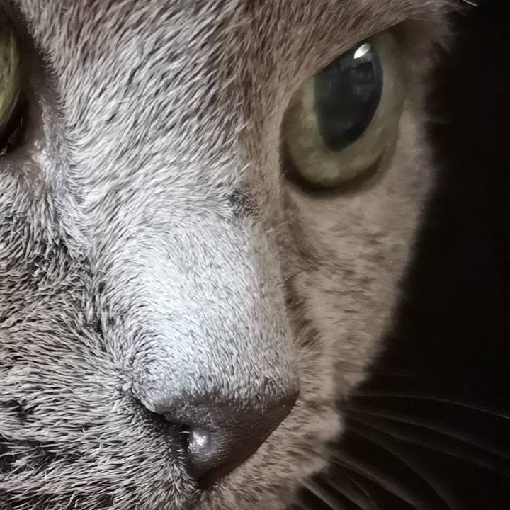 03c6ad31 a8a5 458d 97a7 8d334f57a4a9 1599868783352