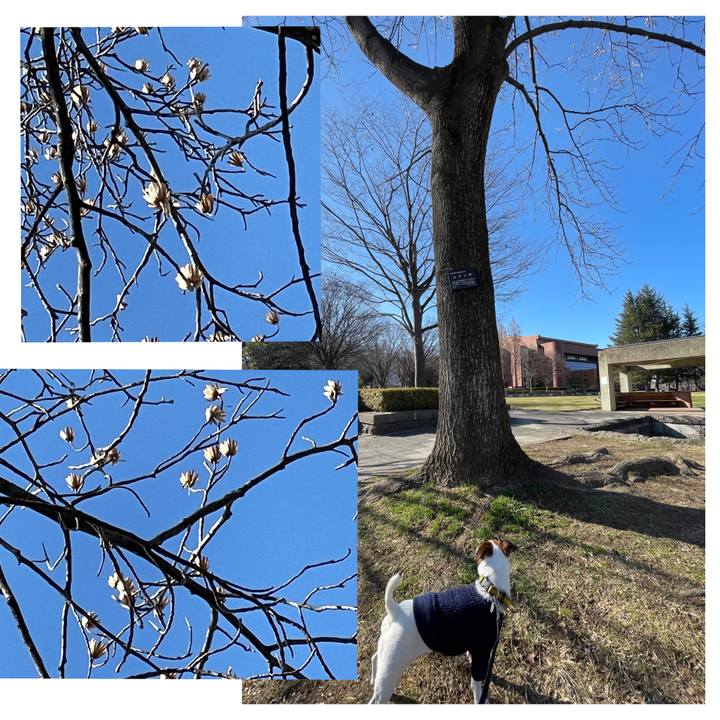 03c6ecfa c966 406c b2ea 7f83f8d2f1cf 1647332020362