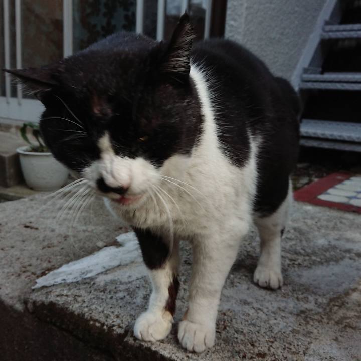 03c70edf 0ad4 49da bcef 5469744ac886 1644653066892