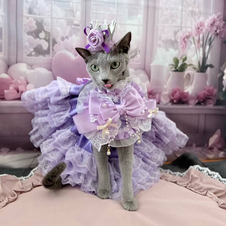 03c70feb 1875 4627 996f b8e9025802a6 1741216126105