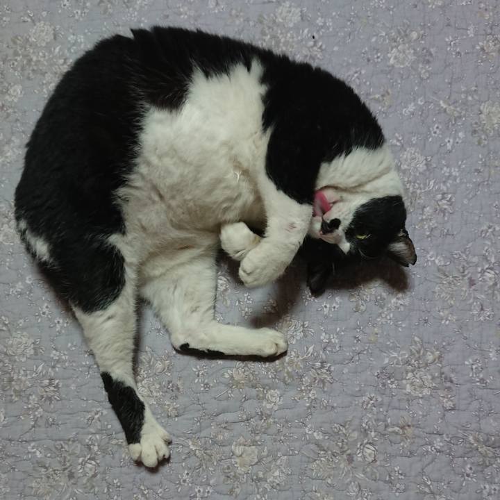 03c73633 a736 42f3 925a c4497b707edb 1576798069267