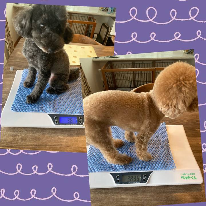 03c748b1 e6fc 46c4 b141 38e1300a79fd 1628496285030