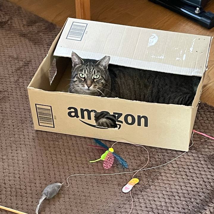 03c75057 aebb 4cd3 81bd 9175e82def30 1633486006608