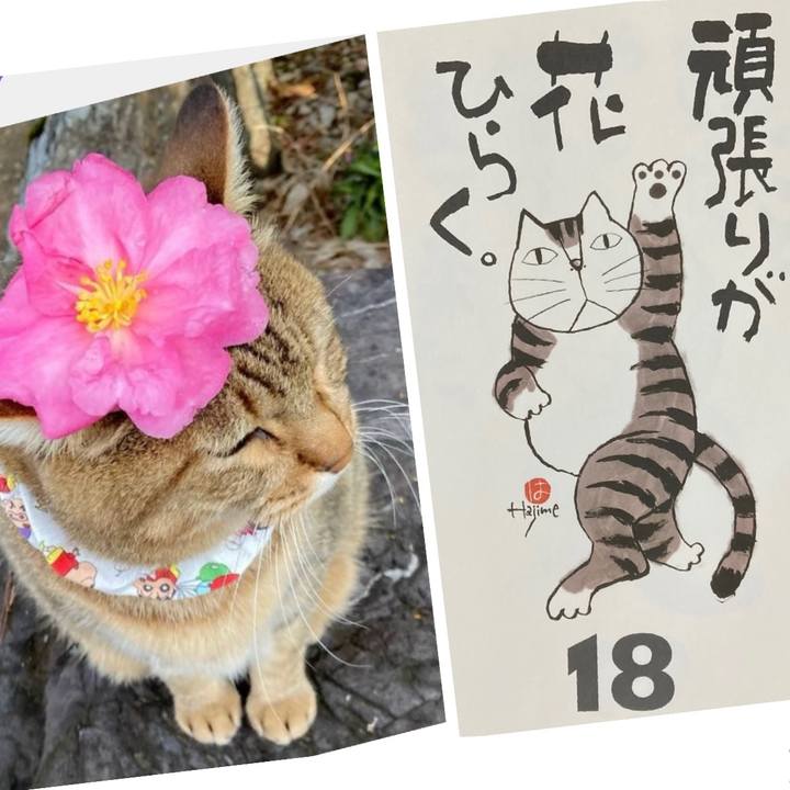 03c76d97 41eb 4b12 bc81 0581ccb954ad 1766016768413