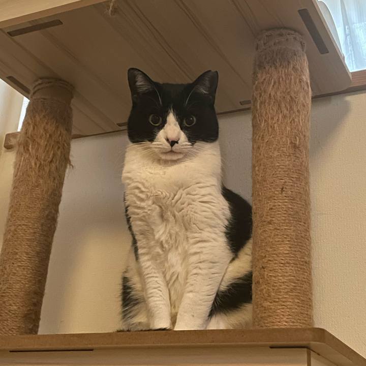 03c77aee f327 4285 9f1a 1d8f3777c2cb 1709413915476