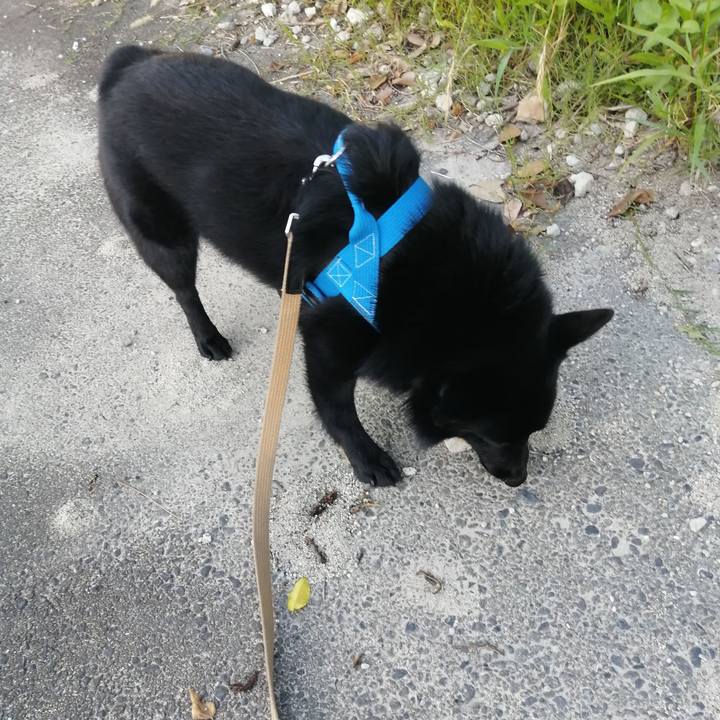 03c796d0 0674 44e5 ba0d bcf54a744358 1628110435230