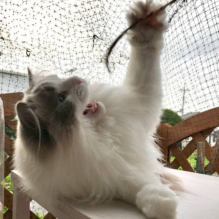 03c79ccd 7470 4bd6 a666 39b1a499204b 1592428326378