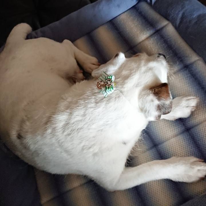 03c7b414 3439 41e2 bdda e5d58b2a884a 1594596689844