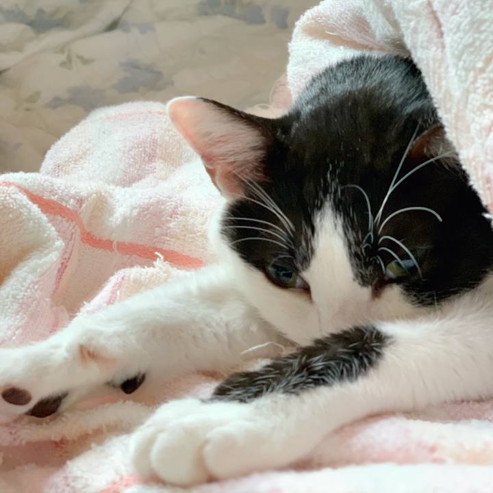 03c7b72b 369f 4306 9f36 d709045dfaa4 1539740391421