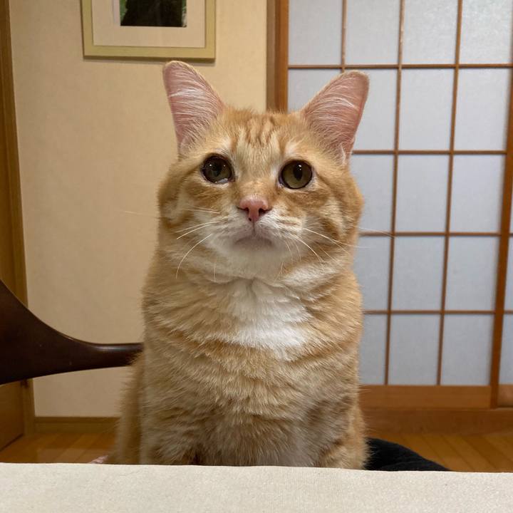 03c7eaf0 971c 4d18 a0a2 cec39855a0a2 1757079221510