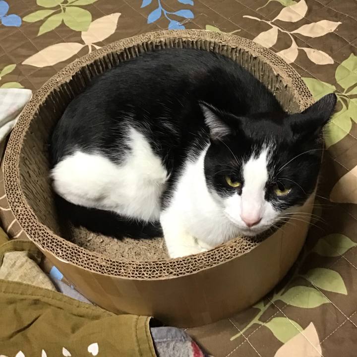 03c7f4e8 af3d 4f44 80ae b0178e57f79b 1731921867691