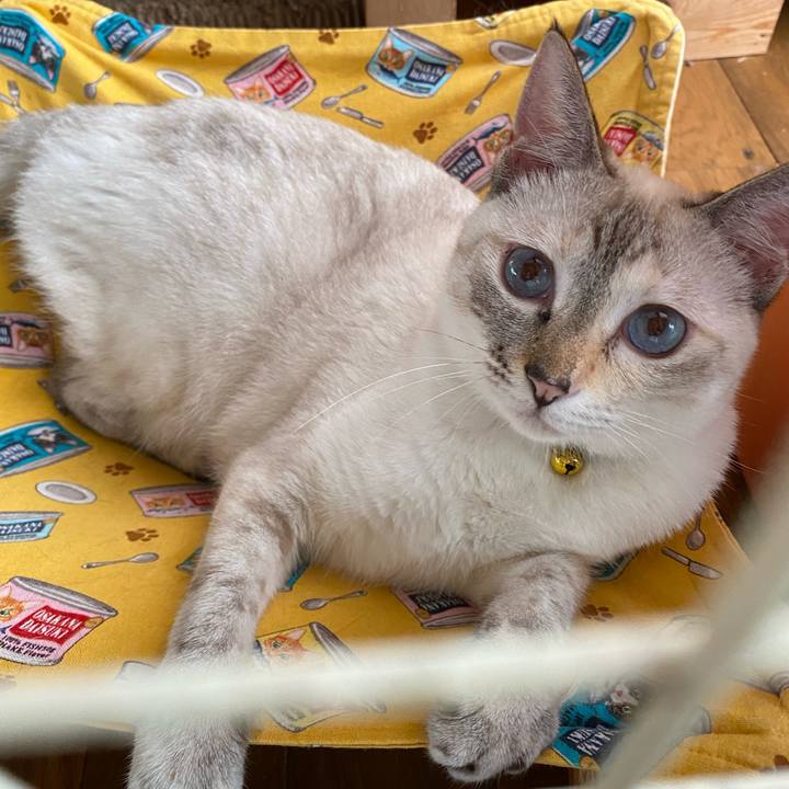 03c8057d 4610 40ed 9124 57b24fa426aa 1659223537732