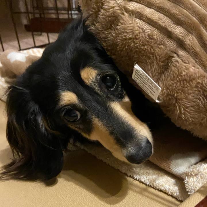 03c82bdf ff31 44c7 964d 9b2f25736f48 1713971322611