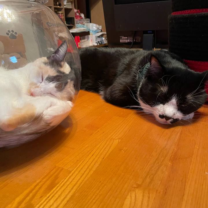 03c82eba 2845 4732 b5ca 4e1087d8cdff 1767877457852