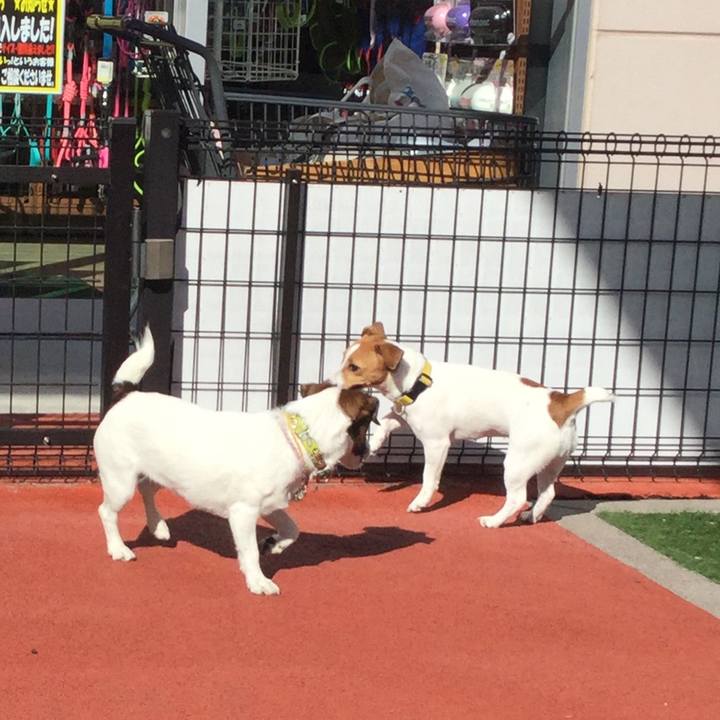 03c84a27 d33f 403b 8dc6 4db36a89f12c 1548216060087