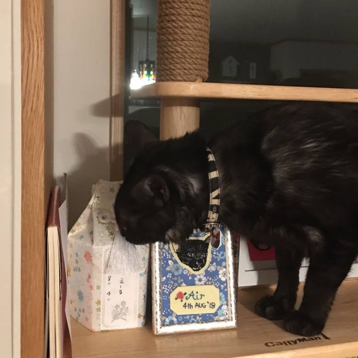 03c881bb 96a2 4b35 9baa de83d44bad90 1533739242911