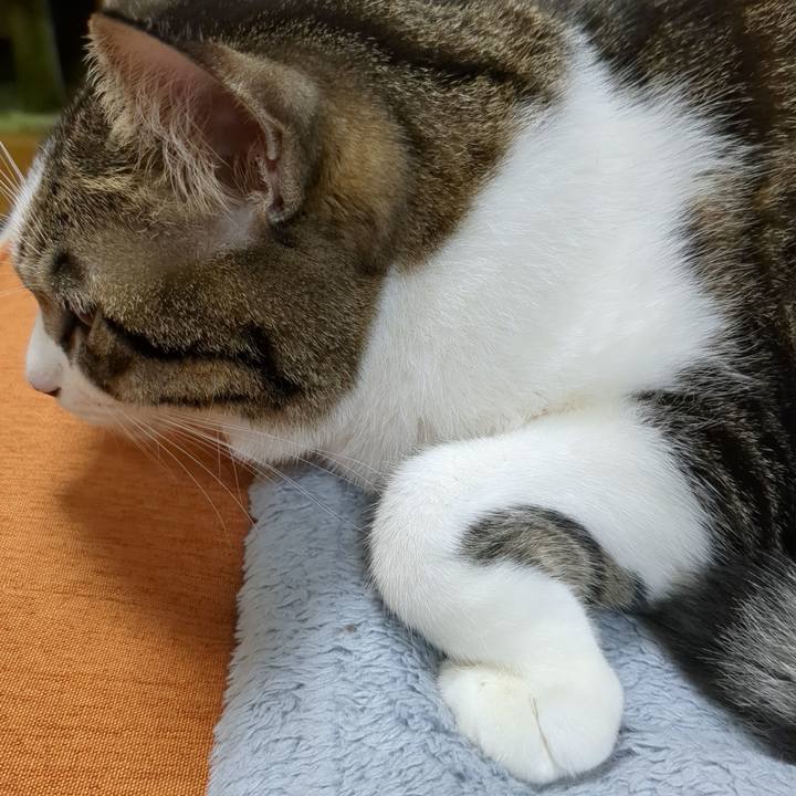 03c897fc 281a 4a20 9965 d5a00ba224ca 1666657165814