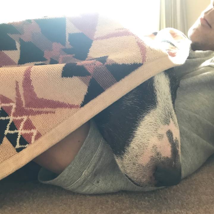 03c89cb5 e2cd 4d58 8df6 0598d70b0e5e 1526705429959