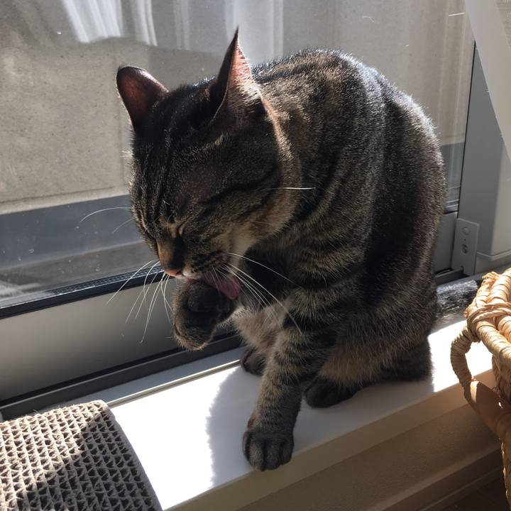 03c8d5bf bf19 4329 88f3 b65f79897e5c 1554249348653