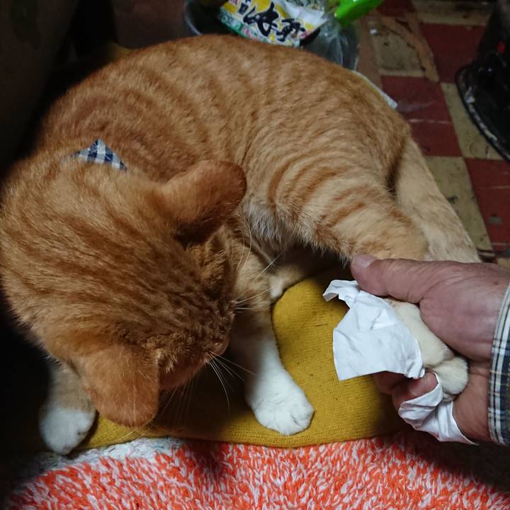 03c8ea98 560e 4027 ba45 ab940bba02cf 1570308698483