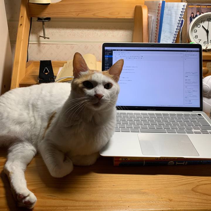 03c8f89f 7d85 4deb 8c18 8a6a6f244b8c 1647782791119