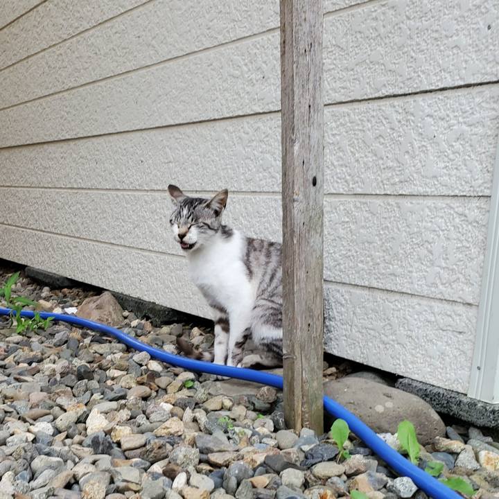 03c902bb 933c 4b38 b028 4860f5a61a93 1721312567338