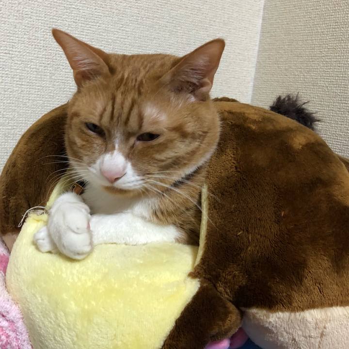 03c90769 2dbb 4289 8245 02d6b4a8511a 1580221768417