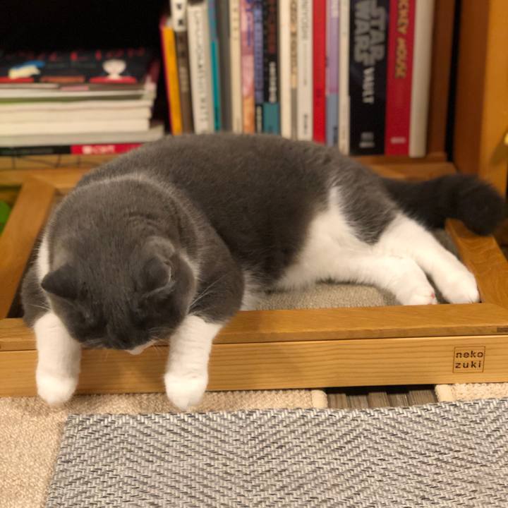 03c979c5 6f5c 4fac 9dc9 959fc68e87c6 1567126476141