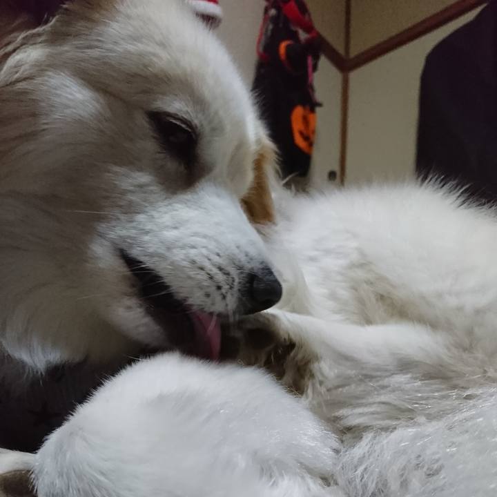 03c97a64 b6c3 436b ba6a 75ece9b4abbb 1526068582957