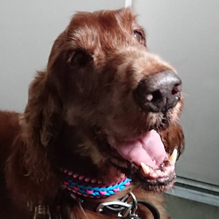 03c9841b 98e1 4d9e 93bf 4b731e0105fa 1602316713254