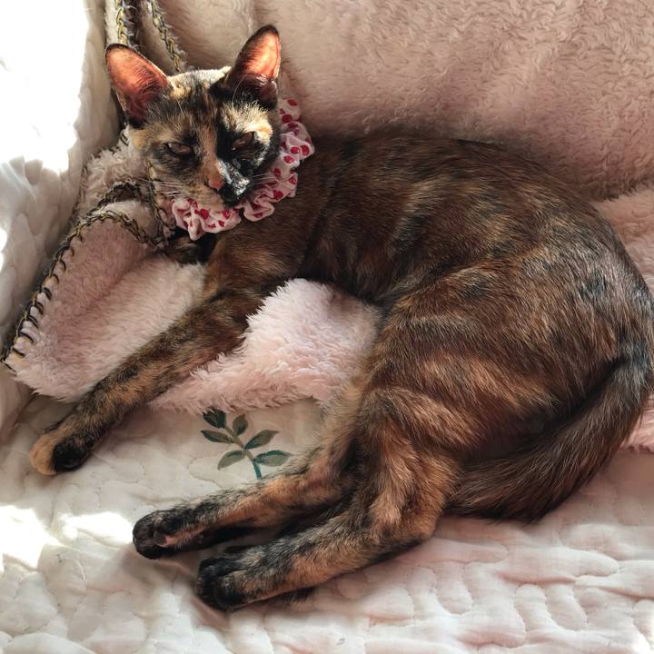 03c985d1 8271 40a6 bf73 f468e9b33241 1611453768004