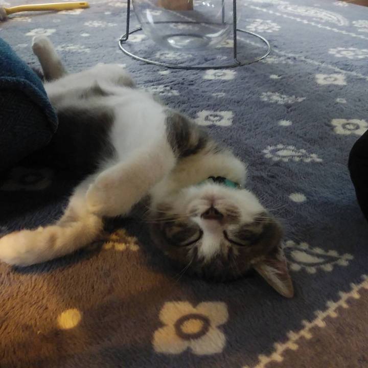 03c99c56 9b25 41cd ab9d 2fe2a49bdaa3 1563758167352