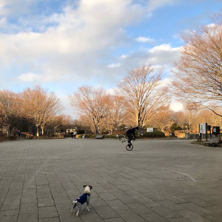 03c9aacc 01d0 44bc add0 7a2a1ce22ea7 1544340106562