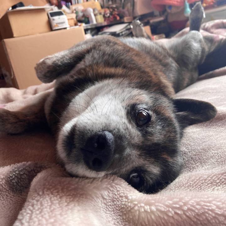 03ca23cb 09c2 430d bcd0 43e475d56de3 1683972348184